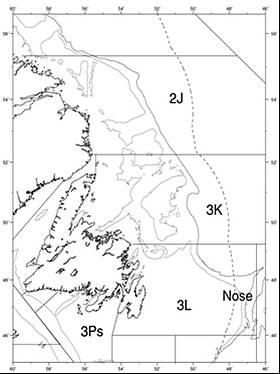 Stock area of northern (2J3KL) cod
© Fisheries and Oceans Canada Stock area of northern (2J3KL) cod
© Fisheries and Oceans Canada