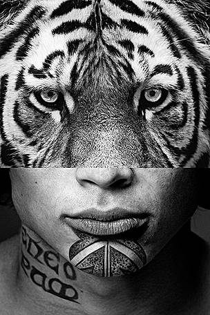 We are all Wildlife
© WWF-Canada We are all Wildlife
© WWF-Canada