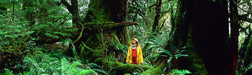 Forest
© Mark Hobson / WWF-Canada
© Mark Hobson / WWF-Canada