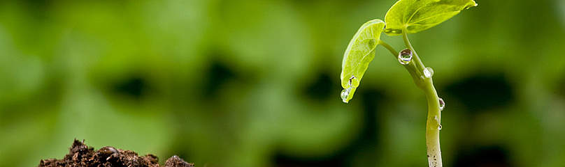 Join the Living Planet Community!
© iStockphoto.com
© iStockphoto.com