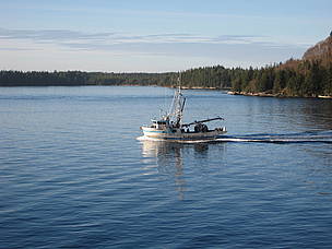 Prince Rupert, B.C
© RICE, Jennifer
© RICE, Jennifer
