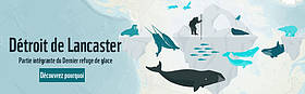 Lancaster Sound
© WWF-Canada
© WWF-Canada