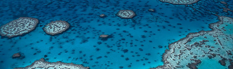 Hardy Reef, aerial view. Great Barrier Reef & Coral Sea, Australia
© Jürgen Freund / WWF
© Jürgen Freund / WWF