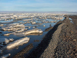 Sea ice near the shore, Beaufort Sea, near Herschel Island, Yukon, Canada.
© Monte HUMMEL / WWF-Canada
© Monte HUMMEL / WWF-Canada