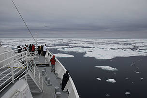 'National Geographic Endeavour' ship, entering an area of the pack ice, Svalbard, Norway, during ...
© Jim Leape / WWF
© Jim Leape / WWF