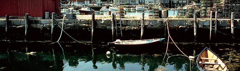 Small boats tied to a wharf in a small fishing village in the Bay of Fundy, Nova Scotia, Canada.
© J. D. Taylor / WWF-Canada
© J. D. Taylor / WWF-Canada