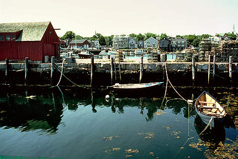 Petits bateaux amarrés au quai d’un village de pêcheurs dans la baie de Fundy, en Nouvelle-Écosse.
© J. D. Taylor / WWF-Canada rel=