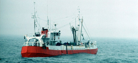 Cargo
© Quentin Bates / WWF rel=