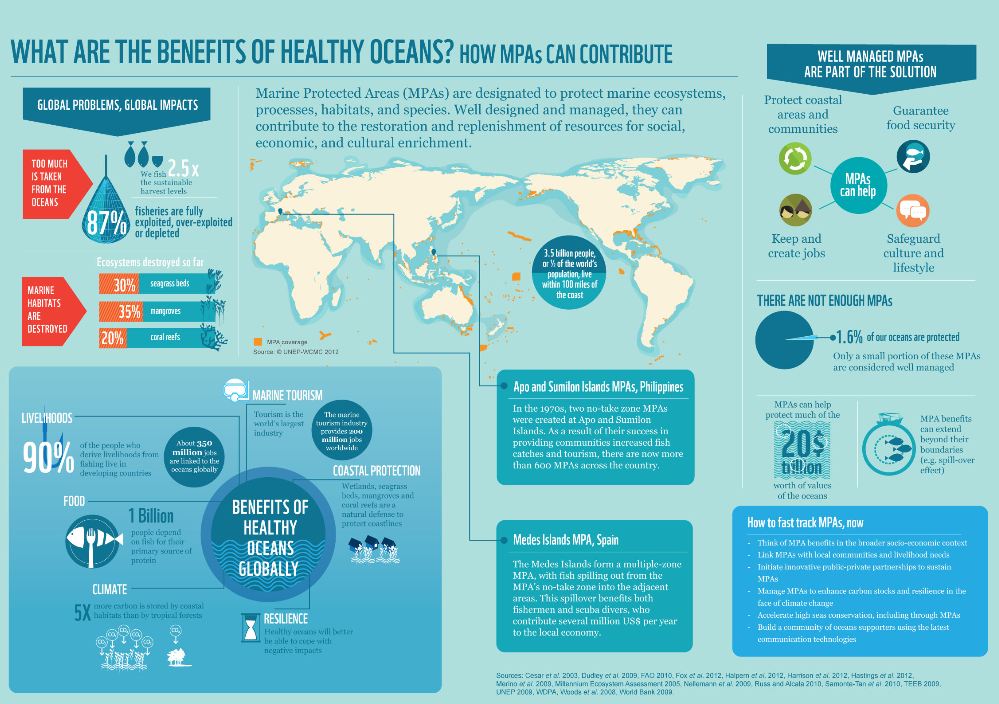 high-quality-protected-areas-key-to-canada-s-ocean-future-wwf-canada