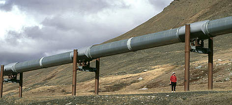 A man stands under the Trans-Alaska oil pipeline.
© Ken MADSEN / WWF-Canada rel=