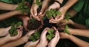 Green School Grants
© iStockPhoto.com
© iStockPhoto.com
