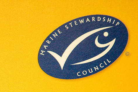 Écologo du Marine Stewardship Council
© WWF / Elma Okic rel=