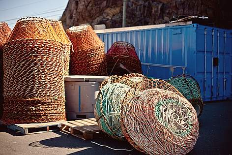 Snow crab pots stored on the wharf in St. John's, Newfoundland. Biodegradable thread is woven into ...
© Alyssa Bistonath / WWF-Canada rel=