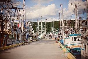 Various sizes of commercial fishing boats tied up at the wharf in the Small Boat Basin in St. ...
© Alyssa Bistonath / WWF-Canada Various sizes of commercial fishing boats tied up at the wharf in the Small Boat Basin in St. ...
© Alyssa Bistonath / WWF-Canada