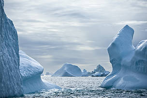 Icebergs broken from glaciers drift south on the east Greenland current. Evidence of arctic warming ...
© Robert Van Waarden / WWF
© Robert Van Waarden / WWF