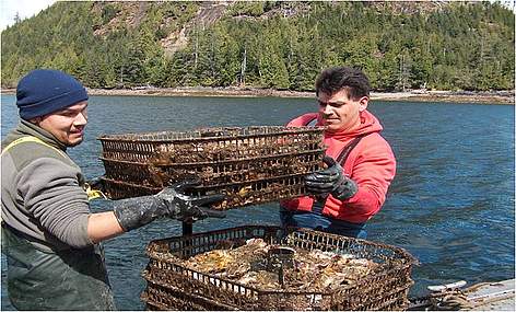 Récolte de crustacés dans la zone marine du Grand Ours.
© Bessie Brown / Coastal First Nations rel=