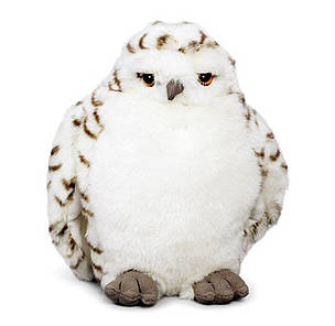 Snowy Owl Adoption
© WWF-Canada
© WWF-Canada