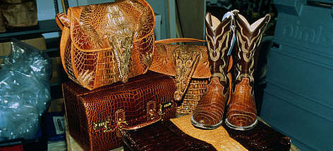 Confiscated products made from crocodile skins. USFW warehouse, Los Angeles, California, United ...
© Wil Luiijf / WWF rel=