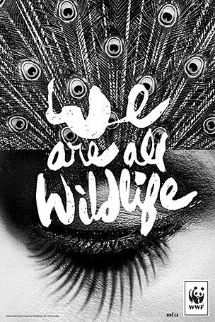 We are all Wildlife
© WWF-Canada
© WWF-Canada