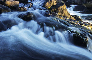 The Cameron River flows over rocks in the Northwest Territories, Canada.
© Tessa MACINTOSH / WWF-Canada
© Tessa MACINTOSH / WWF-Canada
