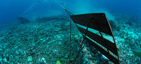 A bottom trawler scrapes the ocean floor destroying the habitat
© Brian J. Skerry / National Geographic Stock / WWF rel=