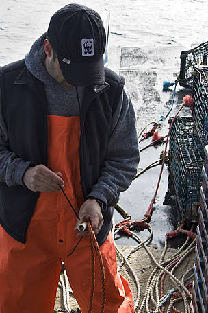 Un employé de WWF-Canada teste du matériel de pêche au homard dans la baie de Fundy, en ...
© Damian Lidgard / WWF-Canada
© Damian Lidgard / WWF-Canada